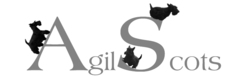 new.scottielovers.com